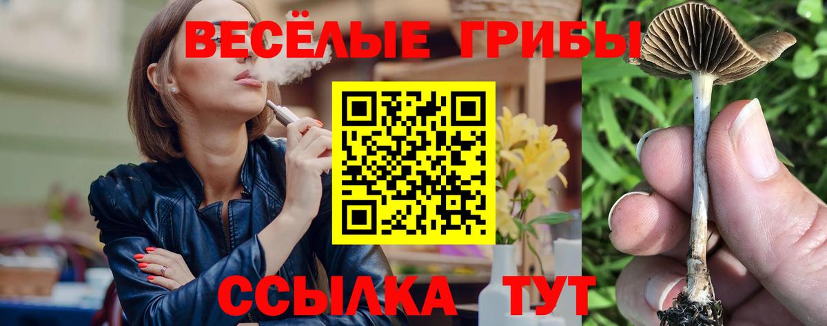 Псилоцибиновые грибы Psilocybine cubensis Горячий Ключ
