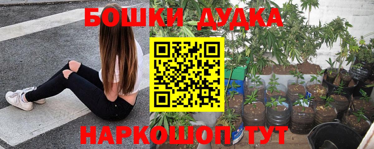 Бошки марихуана ГИДРОПОН  Вход с VPN  Горячий Ключ  Бошки марихуана ГИДРОПОН 
